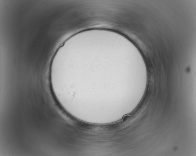 X0000116821375201001081408