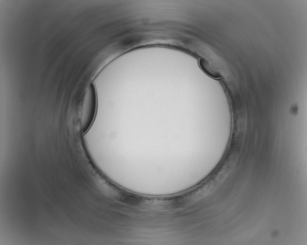 X0000116821377201001081408