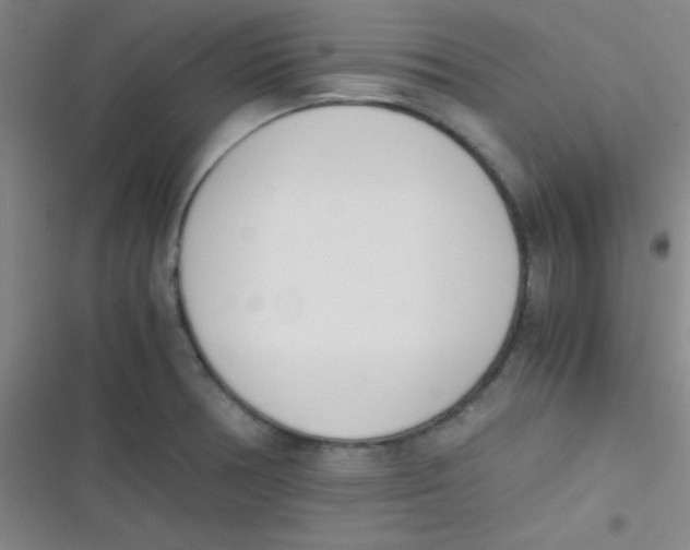 X0000116821378201001081408