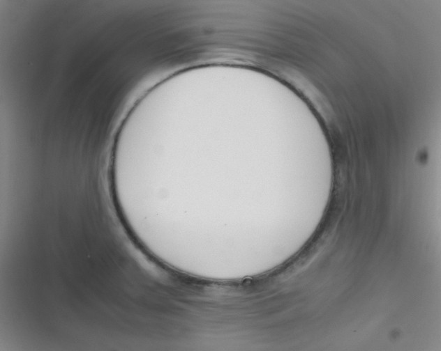 X0000116821379201001081408