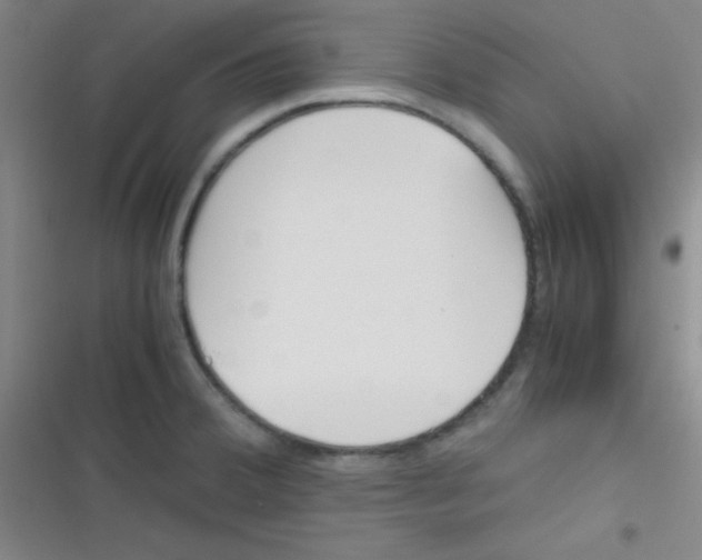 X0000116821380201001081408