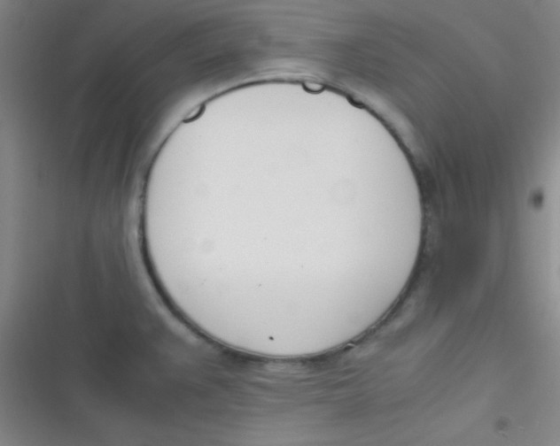 X0000116821383201001081408