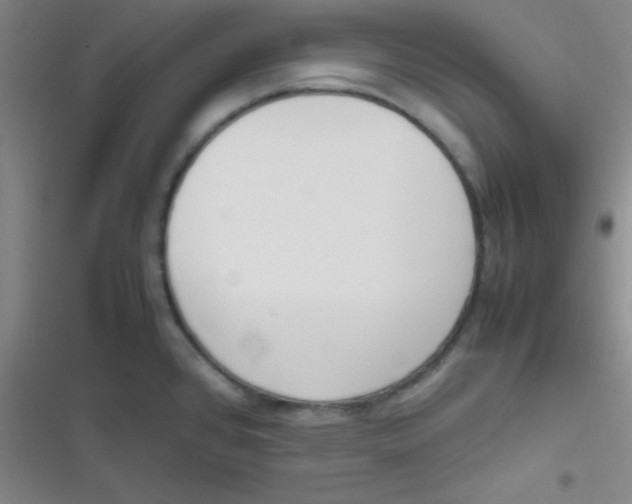 X0000116821384201001081408