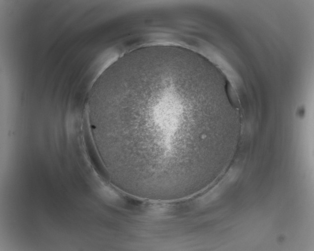 X0000116821385201001081408