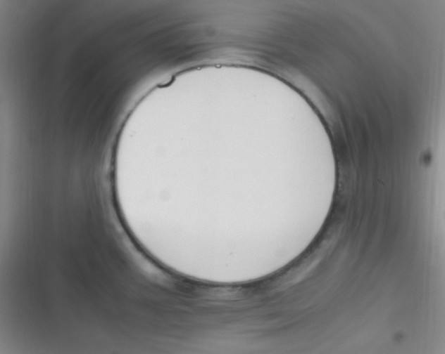 X0000116821387201001081408