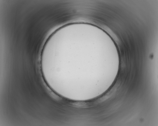 X0000116821388201001081408