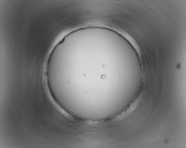 X0000116821389201001081408