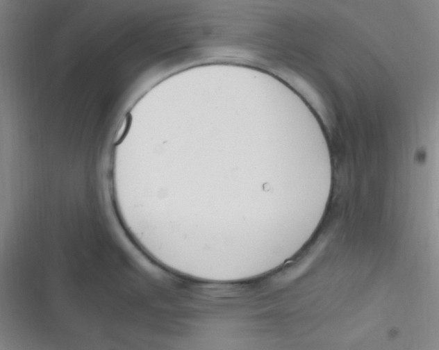 X0000116821391201001081407