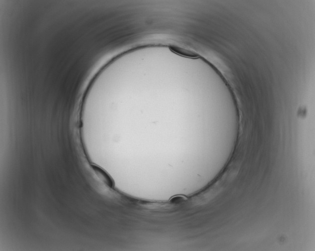 X0000116821392201001081407