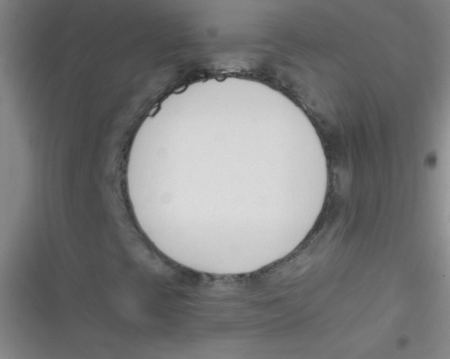 X0000116821393201001081407