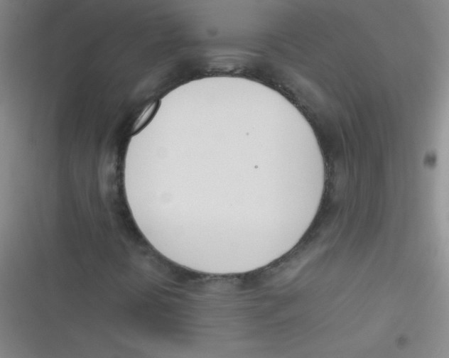 X0000116821394201001081407