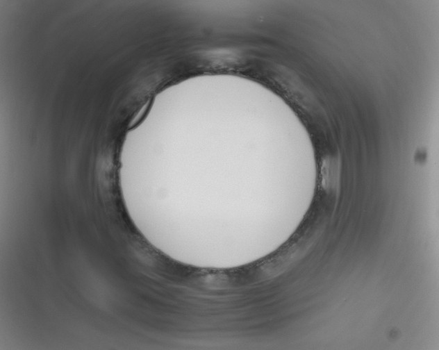 X0000116821395201001081407