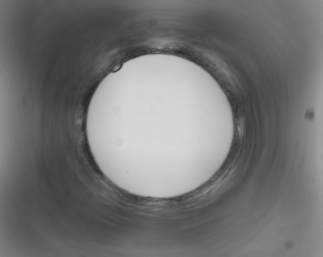 X0000116821396201001081407