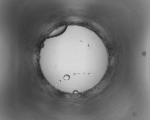 X0000116821397201001081407