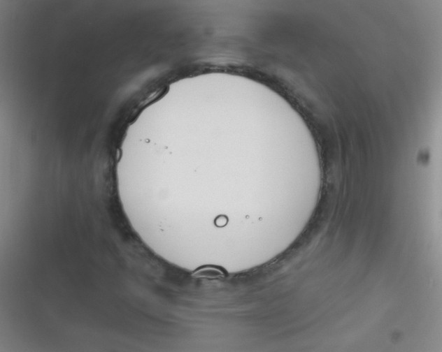 X0000116821398201001081407