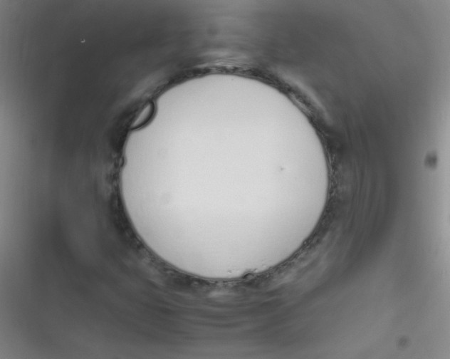 X0000116821399201001081407