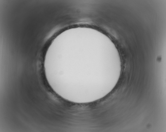 X0000116821400201001081407