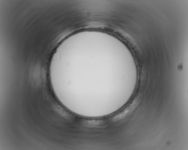 X0000116821401201001081407