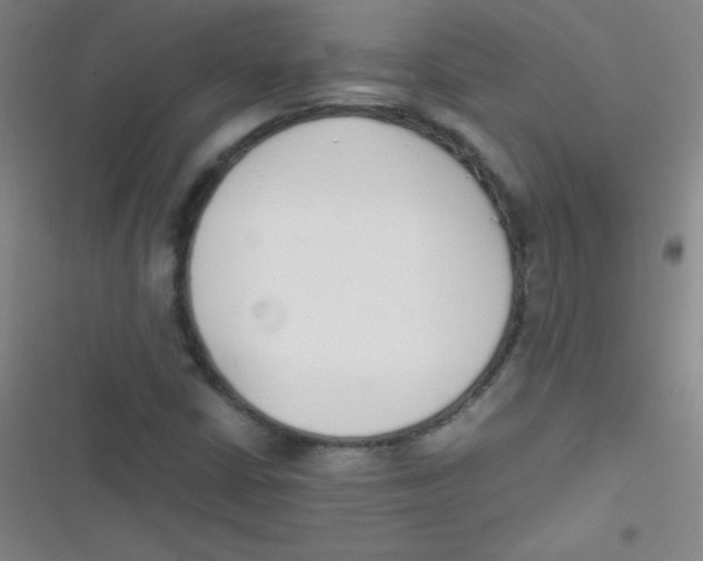 X0000116821402201001081407