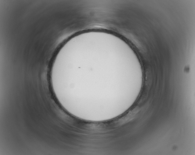 X0000116821404201001081407