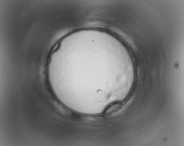 X0000116821405201001081407