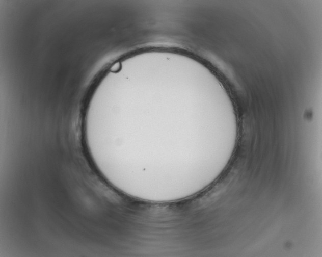 X0000116821408201001081407