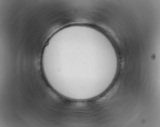 X0000116821409201001081407