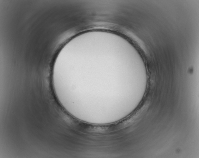 X0000116821411201001081407