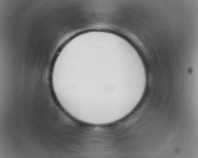 X0000116821412201001081407