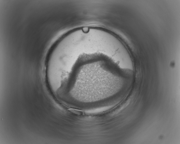 X0000116821414201001081407