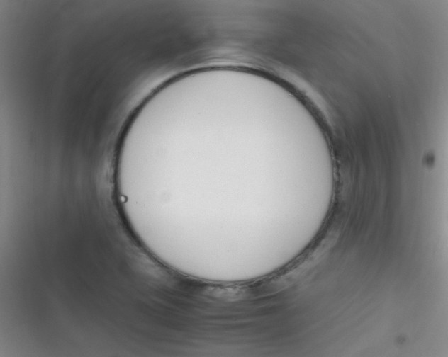 X0000116821415201001081407