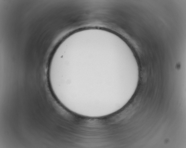 X0000116821416201001081407