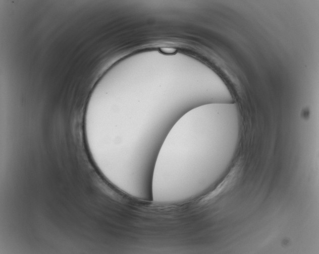 X0000116821417201001081407