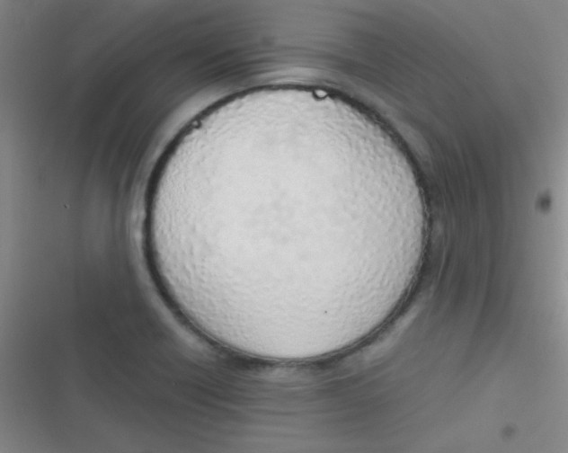 X0000116821418201001081407