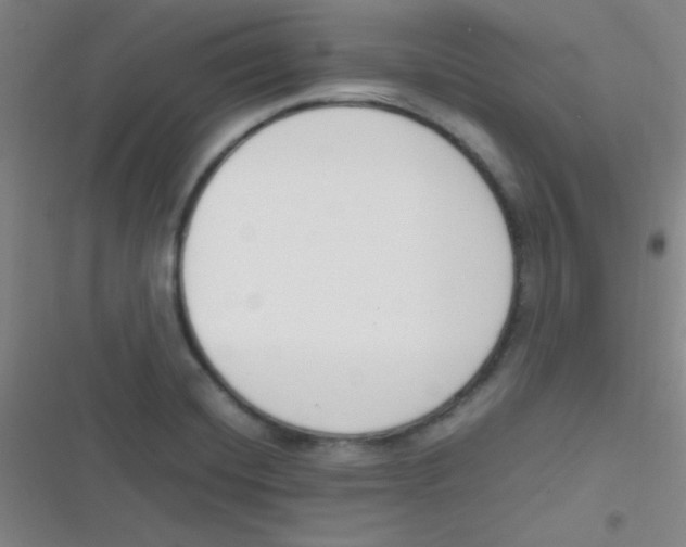 X0000116821420201001081407