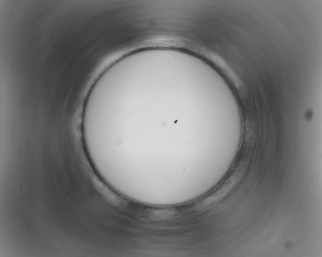 X0000116821421201001081407