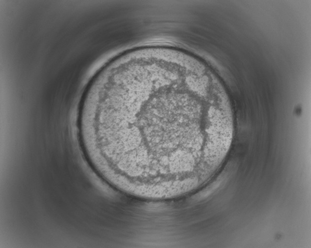 X0000116821422201001081407