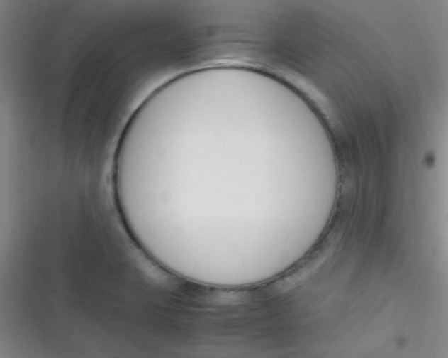 X0000116821423201001081407