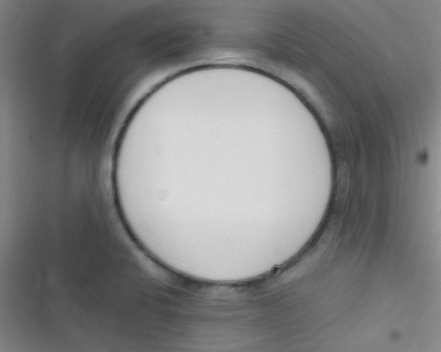 X0000116821424201001081407