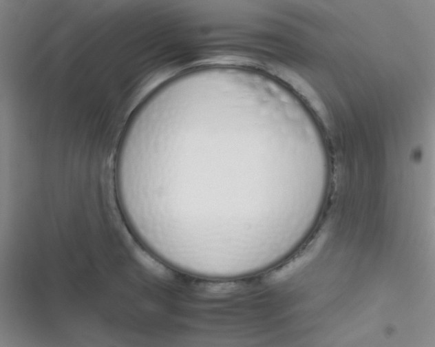 X0000116821425201001081407