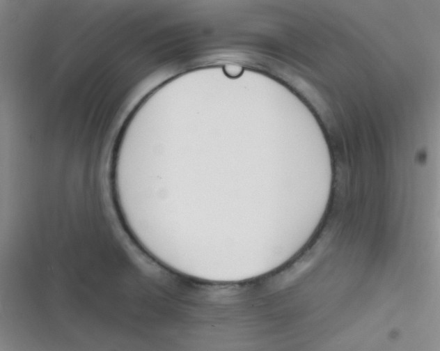 X0000116821426201001081407