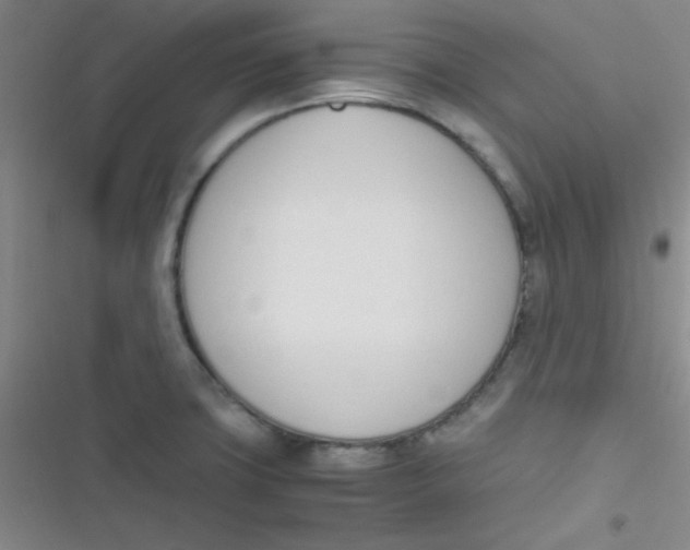 X0000116821427201001081407