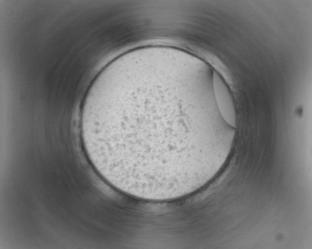 X0000116821428201001081407