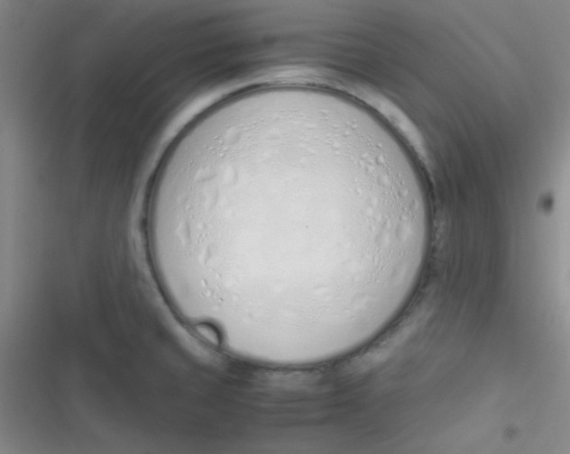 X0000116821429201001081407