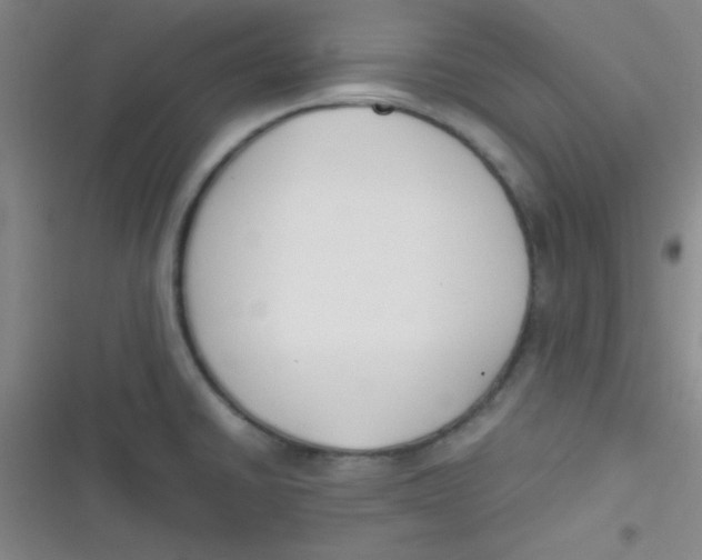 X0000116821430201001081407