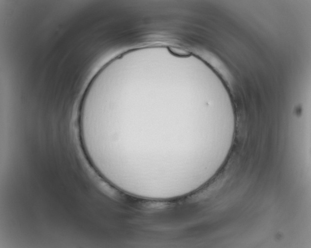 X0000116821431201001081407