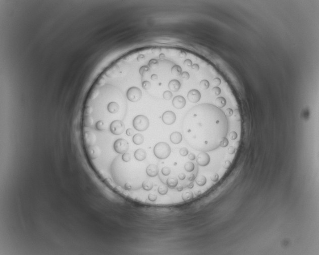 X0000116821432201001081407