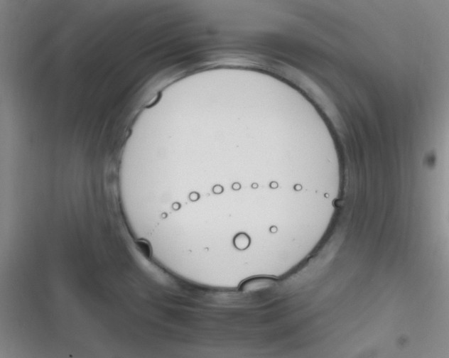 X0000116821433201001081407