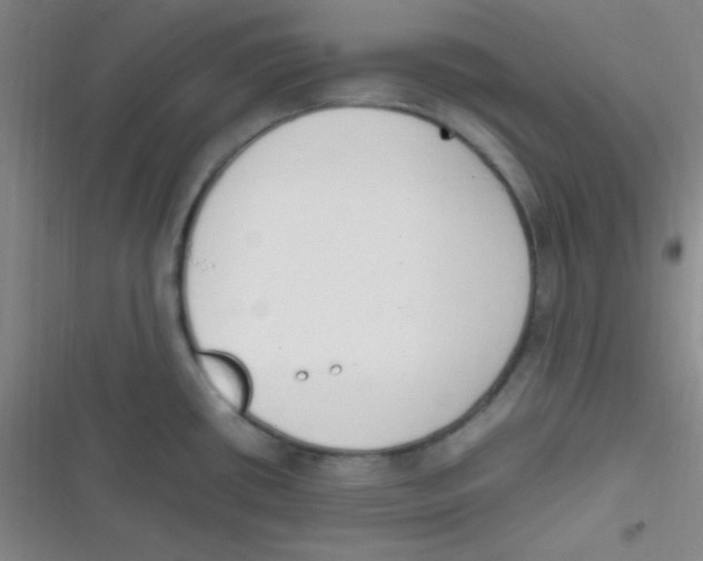 X0000116821434201001081407