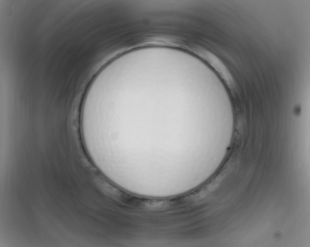 X0000116821435201001081407